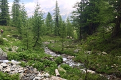 IMG_20230618_111720_1