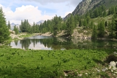 IMG_20230618_114515_1