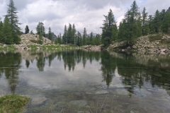 IMG_20230618_115920_1