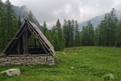 IMG_20230618_131836_1