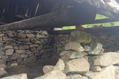 IMG_20230618_132041_1