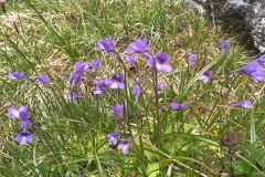 IMG_20230618_132912_1