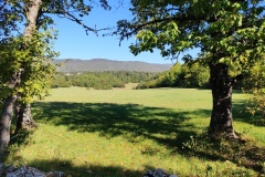 Val de Chalvagne, Entrevaux, Randonnée aquatique, Terres d'émotions, randonnée dans le 04