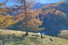 Collet de Burente, Vallée de la Tinée, Hameau de Roya, Mont Mounier, Terres d'émotions, Randonnée dans le 06