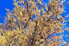 Collet de Burente, Vallée de la Tinée, Hameau de Roya, Mont Mounier, Terres d'émotions, Randonnée dans le 06