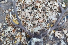Collet de Burente, Vallée de la Tinée, Hameau de Roya, Mont Mounier, Terres d'émotions, Randonnée dans le 06