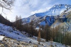 Vallon de demandols, Cim de Pal, Col de Pal, Baisse de Barel, Terres d'émotions, randonnée dans le 06