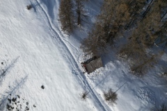Bois Tailler, Valberg, Mercantour, Terres d'émotions, Randonnée dans le 06