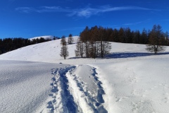 Bois Tailler, Valberg, Mercantour, Terres d'émotions, Randonnée dans le 06