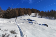 Bois Tailler, Valberg, Mercantour, Terres d'émotions, Randonnée dans le 06