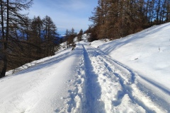 Bois Tailler, Valberg, Mercantour, Terres d'émotions, Randonnée dans le 06