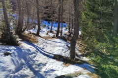 L'alpage, le boréon; terresd'émotions, Vallée de la Vésubie; galette des rois