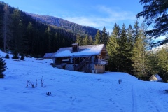 L'alpage, le boréon; terresd'émotions, Vallée de la Vésubie; galette des rois