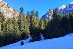 L'alpage, le boréon; terresd'émotions, Vallée de la Vésubie; galette des rois