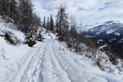 Terres d'émotions, Val pelens, Vallée du Var, Col des champs, Val d'entraunes, randonnée dans le 06