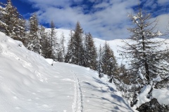Terres d'émotions, Val pelens, Vallée du Var, Col des champs, Val d'entraunes, randonnée dans le 06