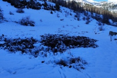 Terres d'émotions, Val pelens, Vallée du Var, Col des champs, Val d'entraunes, randonnée dans le 06