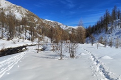 Vallon de valmasque, Casterino, Terres d'émotions, randonnée dans le 06, Refuge de Valmasque, Raquettes à neige