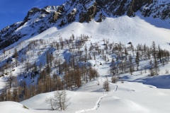 Vallon de valmasque, Casterino, Terres d'émotions, randonnée dans le 06, Refuge de Valmasque, Raquettes à neige