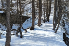 Vallon de valmasque, Casterino, Terres d'émotions, randonnée dans le 06, Refuge de Valmasque, Raquettes à neige