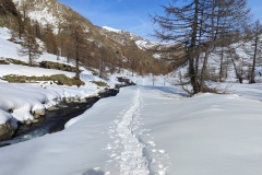 Vallon de valmasque, Casterino, Terres d'émotions, randonnée dans le 06, Refuge de Valmasque, Raquettes à neige
