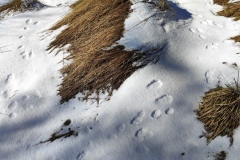 Crête de Crémon, Crête de la Bernarde, Stade de Vauplane, Soleilhas, Randonnée dans le 04, Terres d'émotions