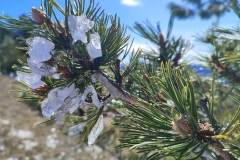 Crête de Crémon, Crête de la Bernarde, Stade de Vauplane, Soleilhas, Randonnée dans le 04, Terres d'émotions