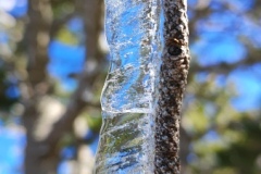 Crête de Crémon, Crête de la Bernarde, Stade de Vauplane, Soleilhas, Randonnée dans le 04, Terres d'émotions