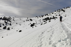 Crête du Cheiron, Gréolières les neiges, Terres d\'émotions, randonnée dans le 06, sommet de jerusalem