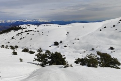 Crête du Cheiron, Gréolières les neiges, Terres d\'émotions, randonnée dans le 06, sommet de jerusalem