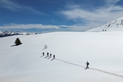 Lauvet de Roubion, Les buisses, Roubion, Vallée de la Tinée, Lauvet d'Ilonse, Terres d'émotions, randonnée dans le 06