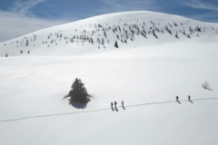 Lauvet de Roubion, Les buisses, Roubion, Vallée de la Tinée, Lauvet d'Ilonse, Terres d'émotions, randonnée dans le 06