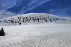 Lauvet de Roubion, Les buisses, Roubion, Vallée de la Tinée, Lauvet d'Ilonse, Terres d'émotions, randonnée dans le 06