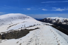 Lauvet de Roubion, Les buisses, Roubion, Vallée de la Tinée, Lauvet d'Ilonse, Terres d'émotions, randonnée dans le 06