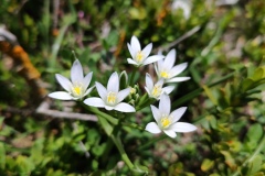 Montagne de la Lette, Entrevaux, St Leger, Randonnée dans le 06, terres d'émotions, Vallée du Var