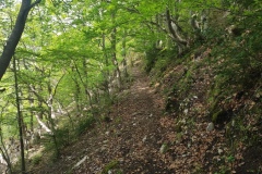 Montagne de la Lette, Entrevaux, St Leger, Randonnée dans le 06, terres d'émotions, Vallée du Var