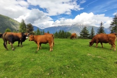 Plateau de longon, Refuge, Terres d'émotions, randonnée dans le 06 Mounier
