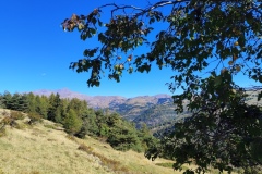 Confitures Prunes, Vallée du Cians, Beuil, Randonnée dans le 06, Terres d\'émotions