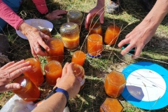 Confitures Prunes, Vallée du Cians, Beuil, Randonnée dans le 06, Terres d\'émotions