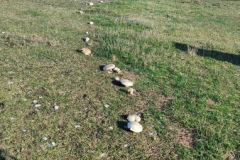 Collet de St Domnin, Annot, Pic de Rent, Randonnée dans le 04, Terres d'émotions