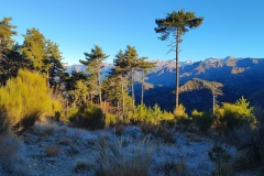 Cime de Bonvillars, Vallée de la Vésubie, Col de LObe, Vallée du Paillon, Randonnée dans le 06, Terres d'émotions