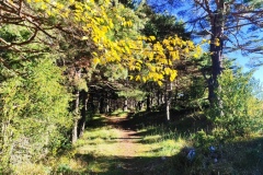 Cime de Bonvillars, Vallée de la Vésubie, Col de LObe, Vallée du Paillon, Randonnée dans le 06, Terres d'émotions