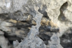 Peille, Peillon, Comté de Nice, Lascaris, Chateau, Randonnée dans le 06, terres d'émotions