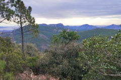 Mont Vinaigre, Lac de Lavellan, Randonnée 83, Randonnée Estérel, Rando Cannes, Terres d'émotions.