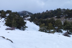 Massif du cheiron, Gréolières, barbecue, Grillades, Terres d'émotions, rando dans le 06