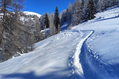 Tête de chamia, Sommet du countent, Col de la couillole, Mont Mounier, Terres d'émotions, Rando dans le 06