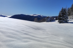 Tête de chamia, Sommet du countent, Col de la couillole, Mont Mounier, Terres d'émotions, Rando dans le 06