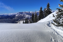 Tête de chamia, Sommet du countent, Col de la couillole, Mont Mounier, Terres d'émotions, Rando dans le 06