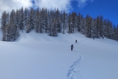 Tête de chamia, Sommet du countent, Col de la couillole, Mont Mounier, Terres d'émotions, Rando dans le 06