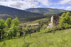 Circuit des colettes, Randonnée dans le 04, Soleilhas, Terres d'émotions, Le teillon, Vallée de l'estéron